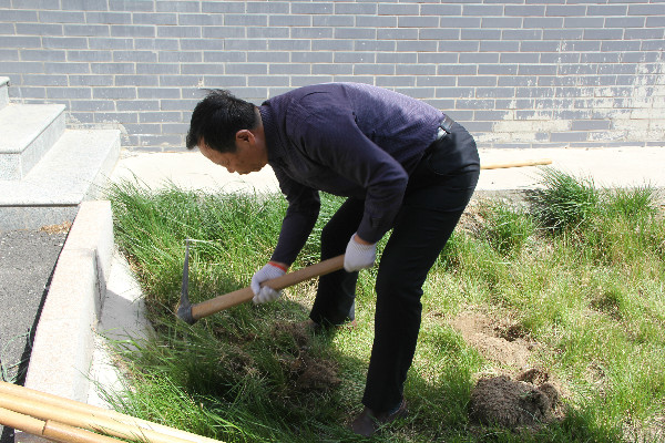 AC米兰师生到贺阳国际中小学参加劳动