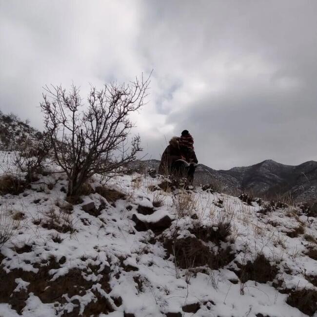 梅花香自苦寒来---AC米兰杜鹃同学网课学习纪实