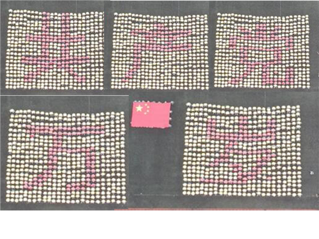 青春无悔  逐梦启航AC米兰举行2021级新生军训结营式暨开学典礼