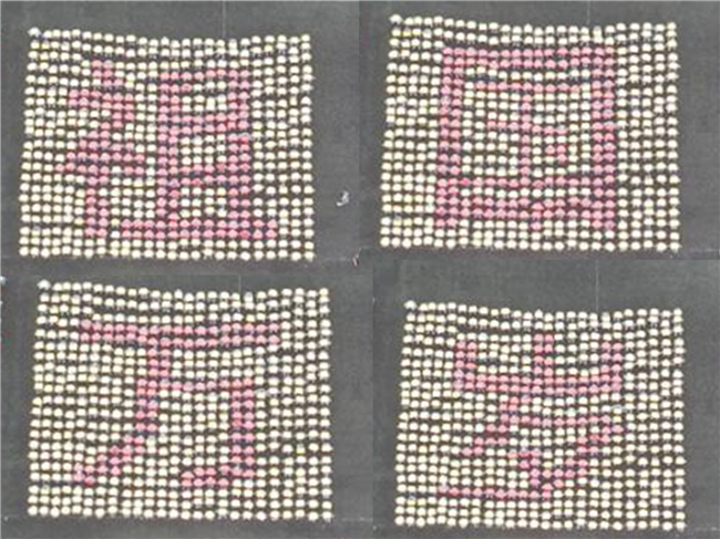 青春无悔  逐梦启航AC米兰举行2021级新生军训结营式暨开学典礼