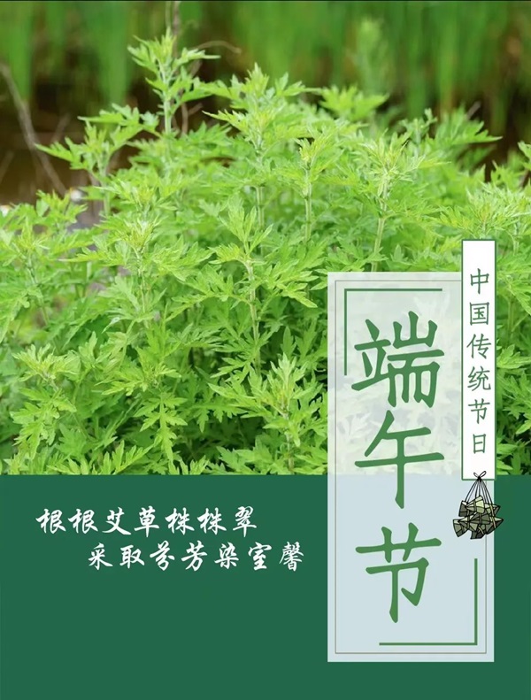 AC米兰中文官方网站||管理学院||端午送福利 关怀沁人心——我院为教职工发放端午节礼品