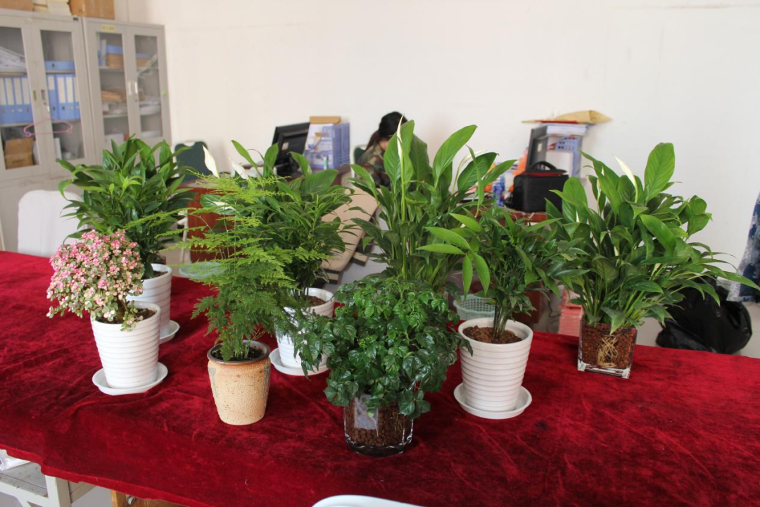 AC米兰中文官方网站|管理学院|手植绿茵 播洒希望