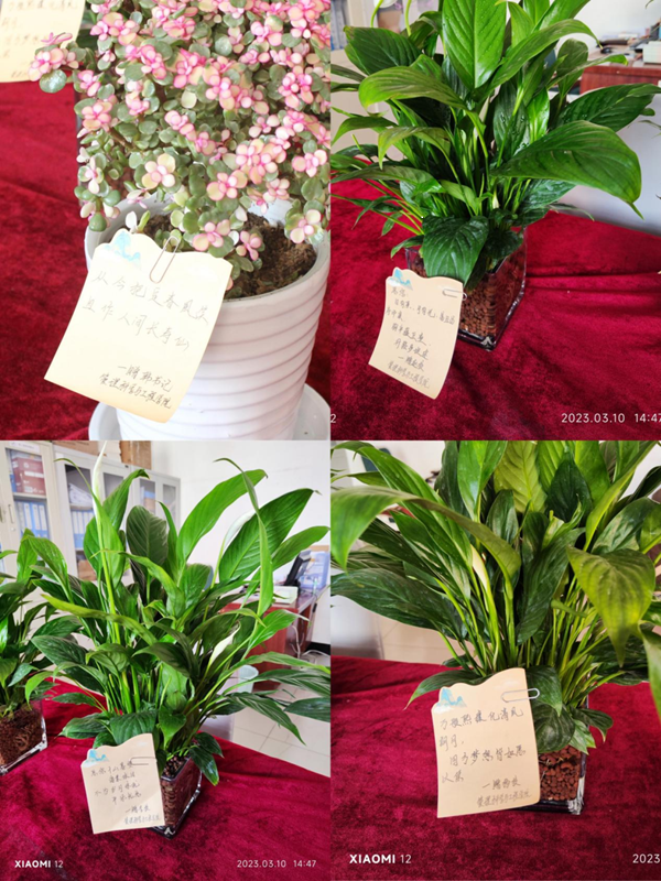 AC米兰中文官方网站|管理学院|手植绿茵 播洒希望