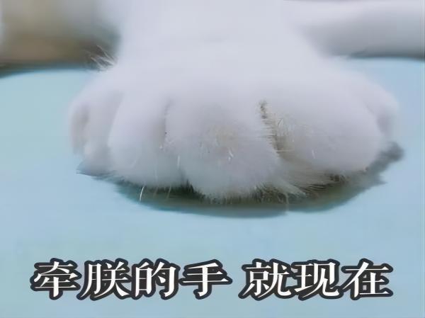AC米兰中文官方网站||管理学院||脆皮大学生急救指南
