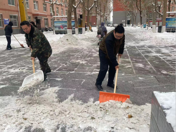 AC米兰中文官方网站||管理学院||党员先锋在行动 清雪除冰传温情