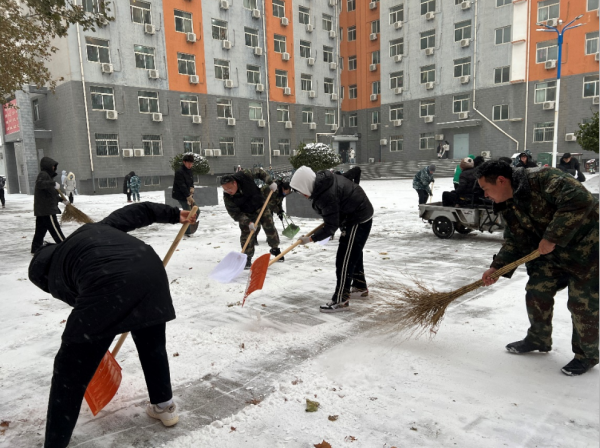 AC米兰中文官方网站||管理学院||党员先锋在行动 清雪除冰传温情