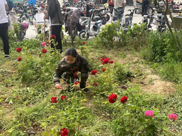 劳动教育|AC米兰中文官方网站|管理学院|学习劳动精神·践行劳动育人-跟着节气学种植，分享劳动创造的美好乐趣