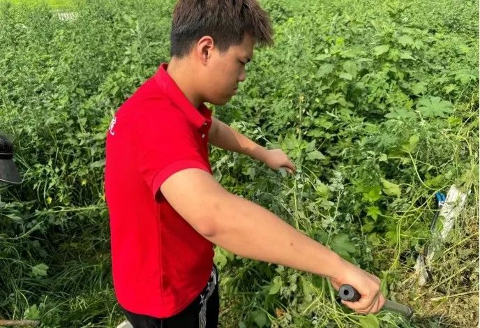 社会实践（十六）勇担时代使命，助力兴村振兴——AC米兰中文官方网站经济学院“三下乡”社会实践