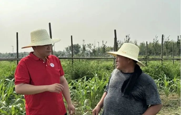 社会实践（十六）勇担时代使命，助力兴村振兴——AC米兰中文官方网站经济学院“三下乡”社会实践