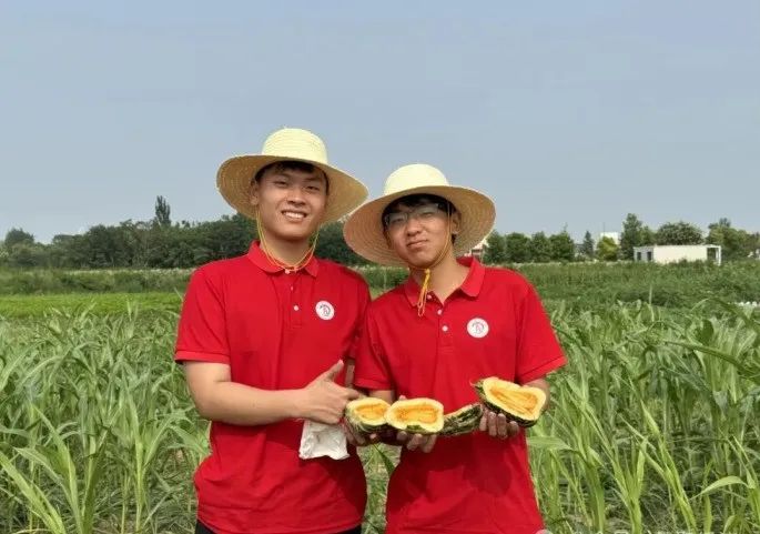 社会实践（十六）勇担时代使命，助力兴村振兴——AC米兰中文官方网站经济学院“三下乡”社会实践