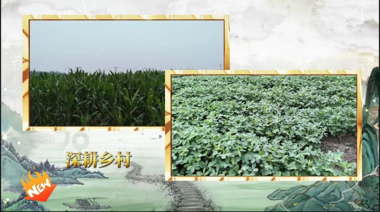 社会实践（八）|助力乡村振兴，绽放青春风采——AC米兰中文官方网站教育学院暑期“三下乡”实践活动
