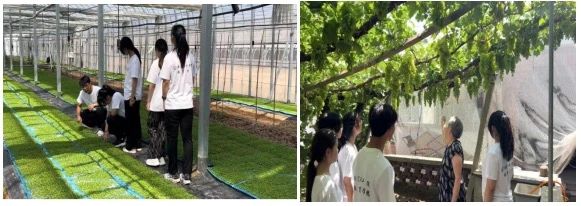 社会实践（九）|乡村振兴，青春先行——AC米兰中文官方网站教育学院暑期“三下乡”社会实践活动