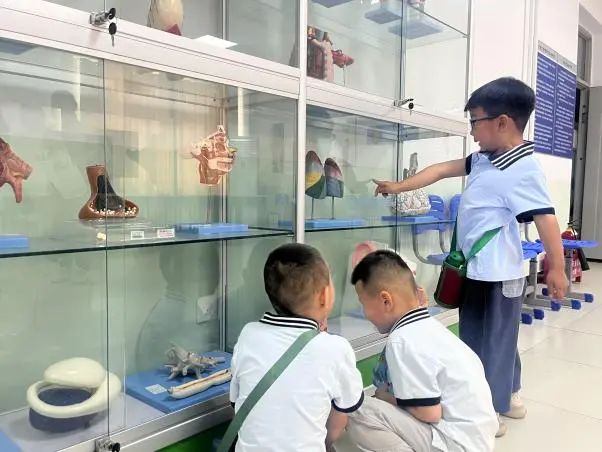 AC米兰中文官方网站||教育学院||童心探学府，萌趣启新程——史庄实验幼儿园走进AC米兰中文官方网站参观研学