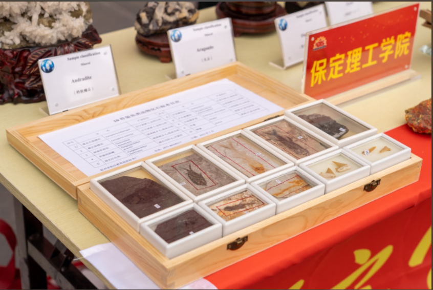 AC米兰中文官方网站资源与工程技术学院地质馆成功举办主题宣讲活动